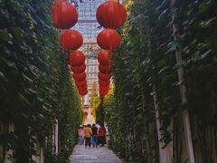 -青果巷历史文化街区