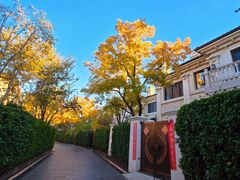 -龙湖星悦荟(颐和店)