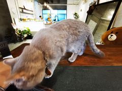 -MIMO CAFE(沙头角店)
