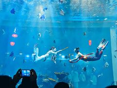 -鄂尔多斯野生动物园