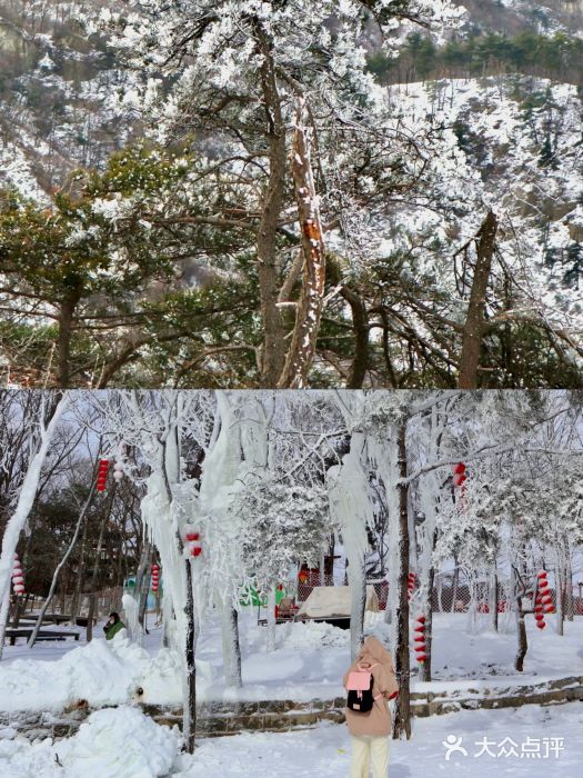 沂蒙云瀑洞天景区图片
