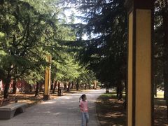 -法门文化景区
