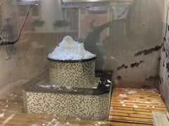 -汤里来温泉