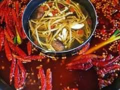 -蜀大侠火锅(建设路第五大道店)