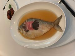 陈年花雕蒸鲥鱼-福1088