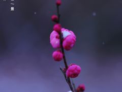 -尚贤河湿地