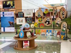 -西安电影制片厂