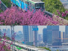 -佛图关公园