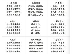 -澳洲袋鼠早教(南二环店)