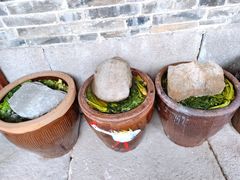 -鄞州雪菜博物馆