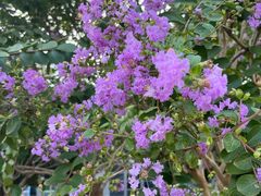 -杭州城北体育公园