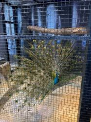 -酷嗒动物文化乐园(cutezoo西溪乐天城店)