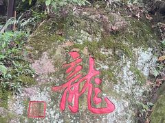 -十八棵（老龙井）御茶园(老龙井店)