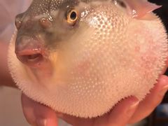 -永安鱼庄·镇江菜(丁卯店)