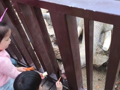 -青岛森林野生动物世界