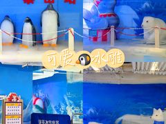 -郑州银基冰雪世界