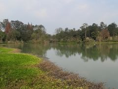 -桤木河湿地公园