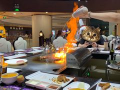 -法式利昂铁板烧主题餐厅(唐山爱琴海店)