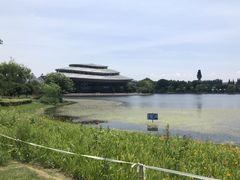 -浙江三立开元名都大酒店