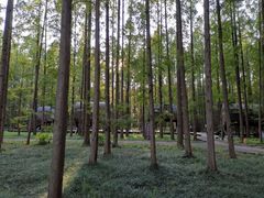 -黄海国家森林公园