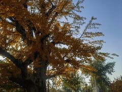 -清华大学玉泉医院