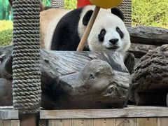 -大连森林动物园