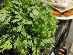 -巴蜀大宅门火锅(新华公园店)