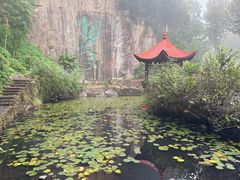 -莫干山风景区