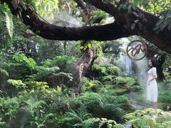 -Chom Cafe and Restaurant