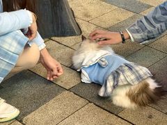 -龙湖杭州滨江天街