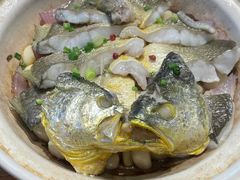 砂锅焗黄花鱼-1937青岛老味道·海肠捞饭·青岛菜(大鲍岛栈桥店)