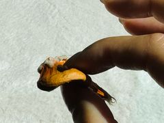 -锦绣大地生鲜食品厅