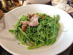 -张家卫·阳江菜·小海鲜(肥婆湾桥店)