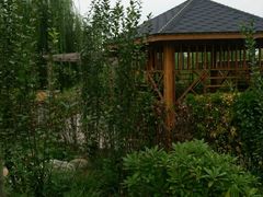 温泉汤池-灵山莲花公园-温泉度假区