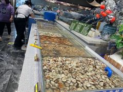 -圣罗巴海鲜自助(黑金店)