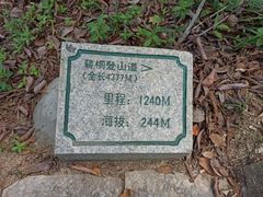 -梧桐山风景名胜区