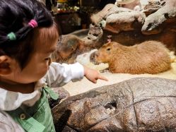-造物庄园 萌宠纪(苏州湾歌林公园店)