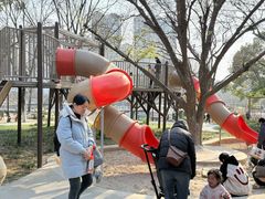-宁波儿童公园(鄞州区)