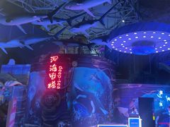 -烟台海昌鲸鲨海洋公园