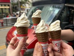 -富豪雪糕车流动点(尖沙咀店)
