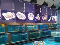 -梦都海鲜酒家(万达广场江桥店)