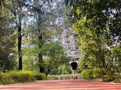 -长春市南湖公园