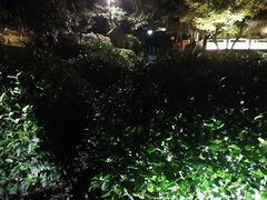 -十八棵（老龙井）御茶园(老龙井店)