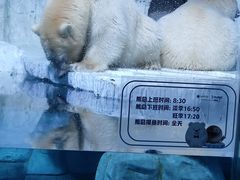 -大连老虎滩海洋公园