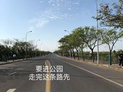 -南汇嘴观海公园