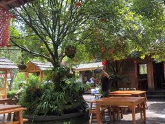 -青城甲(青城山店)