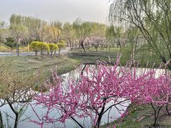-东郊湿地公园