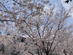 -永乐路-路侧停车场