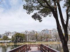 -新江湾城公园