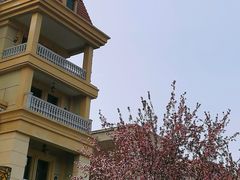 -天津五大道文化旅游区